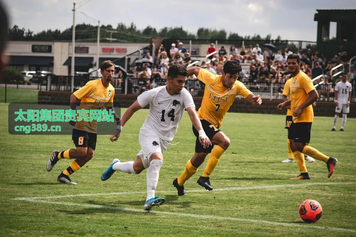 太阳集团贵宾网站背景图